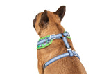 Big and Little Dogs Adjustable Traffic Town - Premium hondentuig > honden harnas from Big and Little Dogs - Just €19.99! Shop now at Frenkiezdogshop