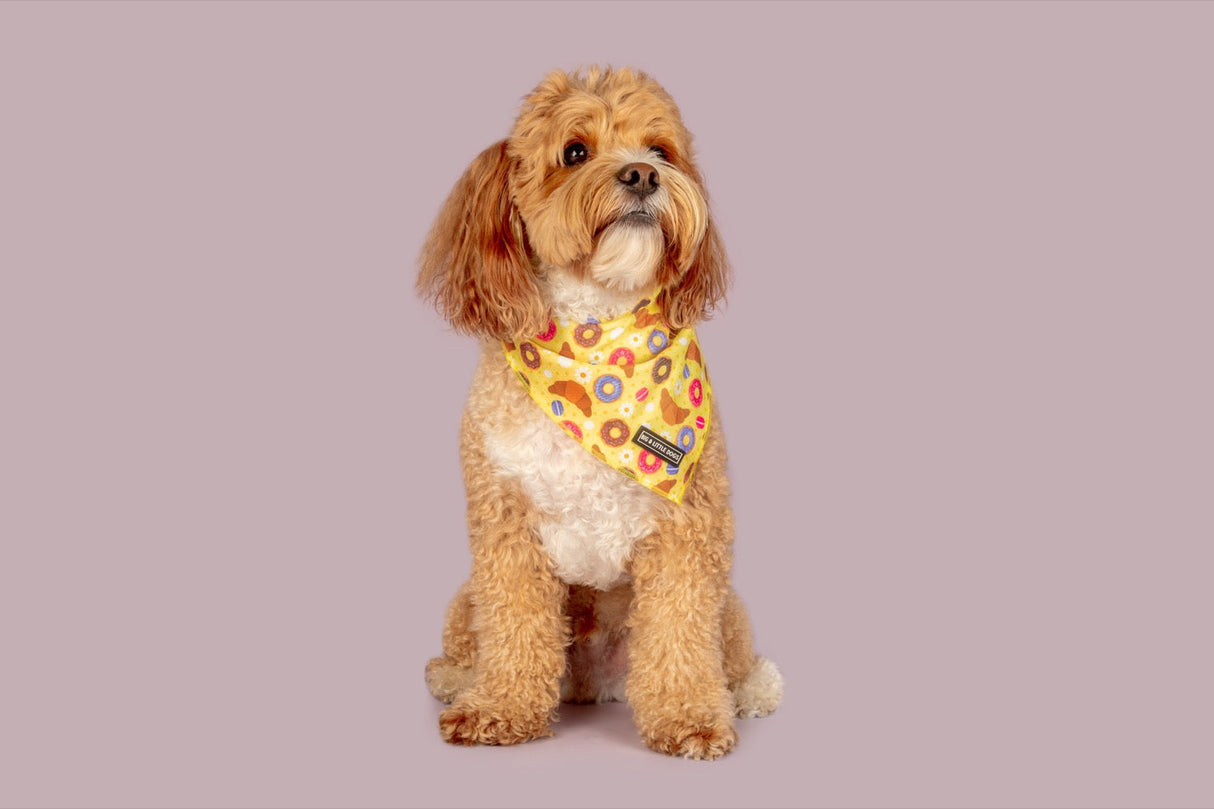 Big  and Little dogs Bandana Pastries In Paris - Premium Bandana > Hondenbandana from Big and Little Dogs - Just €9.99! Shop now at Frenkiezdogshop