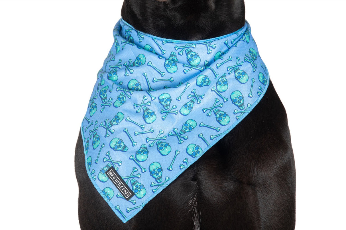 Big  and Little dogs Bandana Skulls & Bones (Blue Version) - Premium Bandana > Hondenbandana from Big and Little Dogs - Just €9.99! Shop now at Frenkiezdogshop