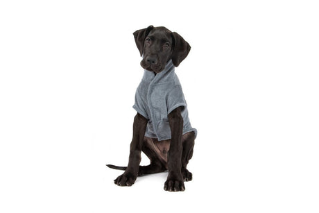 Big and Little Dogs Badjas Charcoal Hondenbadjas > Dogrobe X - Small