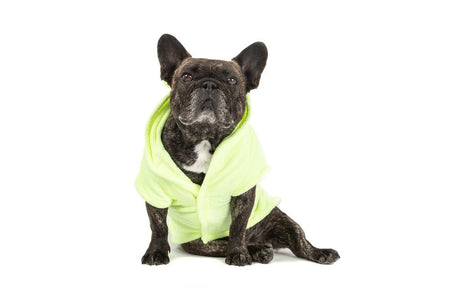 Big and Little Dogs Badjas Lime Hondenbadjas > Dogrobe X - Small