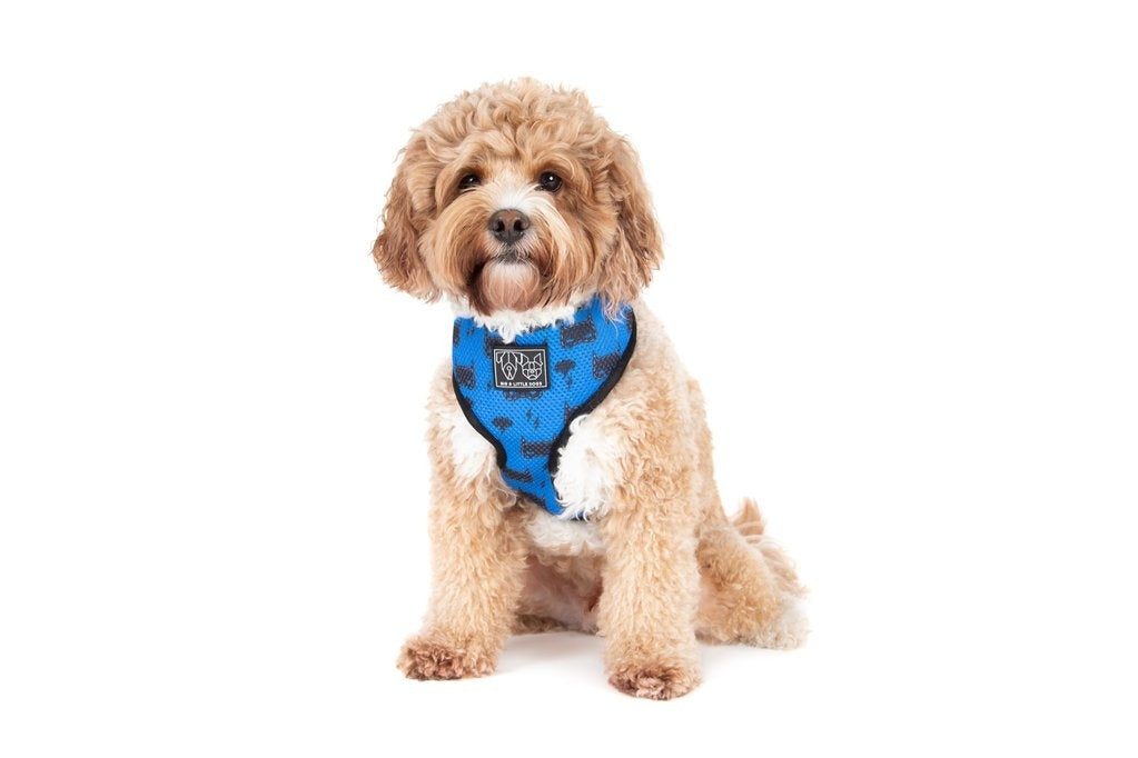 Big & Little Dogs Classic Harness Bat-Dog - Premium hondentuig > honden harnas from Big and Little Dogs - Just €16.99! Shop now at Frenkiezdogshop