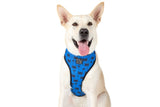 Big & Little Dogs Classic Harness Bat-Dog - Premium hondentuig > honden harnas from Big and Little Dogs - Just €16.99! Shop now at Frenkiezdogshop