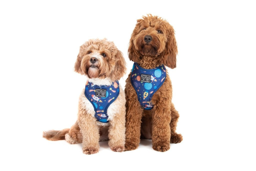 Big & Little Dogs Classic Harness Galactic Adventures - Premium hondentuig > honden harnas from Big and Little Dogs - Just €20.99! Shop now at Frenkiezdogshop