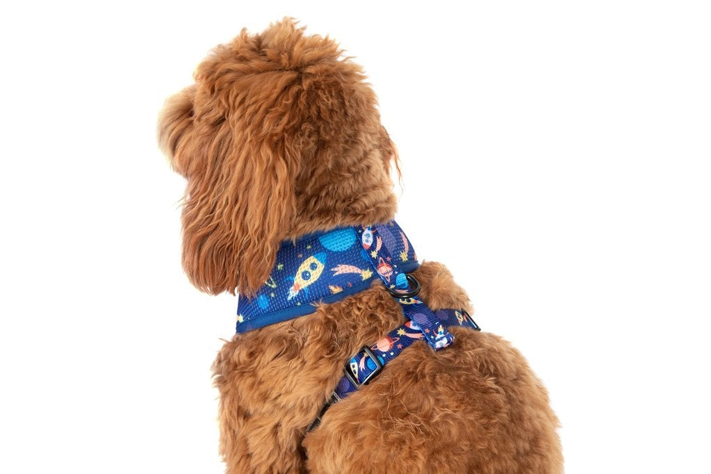 Big & Little Dogs Classic Harness Galactic Adventures - Premium hondentuig > honden harnas from Big and Little Dogs - Just €20.99! Shop now at Frenkiezdogshop