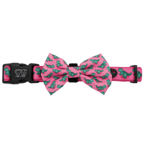 Big and Little Dogs Halsband Princess - asaurus ( XS & M ) halsband > hondenhalsband X - Small