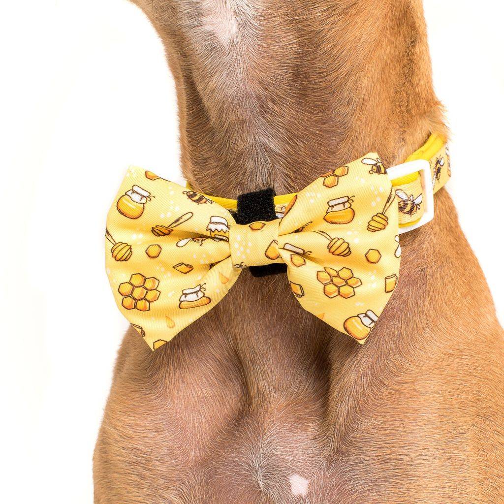 Big and Little Dogs Halsband Bee Hiving - Premium halsband > hondenhalsband from Big and Little Dogs - Just €16.99! Shop now at Frenkiezdogshop