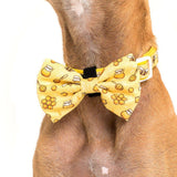 Big and Little Dogs Halsband Bee Hiving - Premium halsband > hondenhalsband from Big and Little Dogs - Just €16.99! Shop now at Frenkiezdogshop