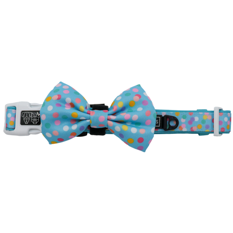 Big and Little Dogs Collar & Bow-tie Blue Confetti - Premium Hondenstrik > strik from Big and Little Dogs - Just €16.99! Shop now at Frenkiezdogshop