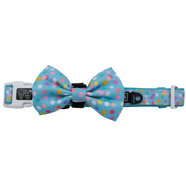 Big and Little Dogs Collar & Bow-tie Blue Confetti - Premium Hondenstrik > strik from Big and Little Dogs - Just €16.99! Shop now at Frenkiezdogshop