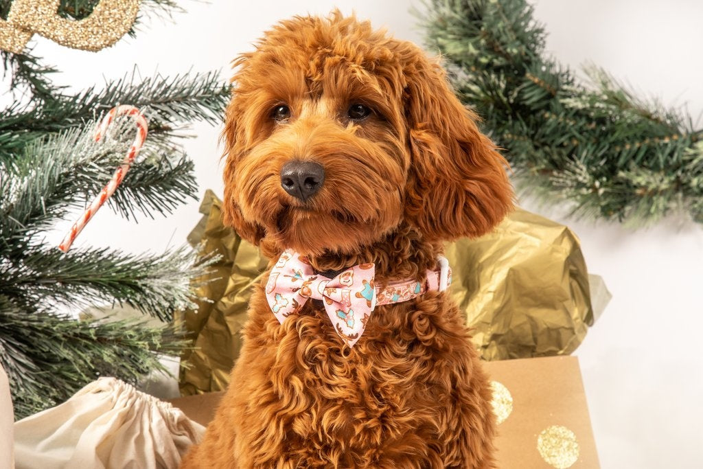 Big and Little Dogs Halsband Christmas Cookies - Premium halsband > hondenhalsband from Big and Little Dogs - Just €16.99! Shop now at Frenkiezdogshop