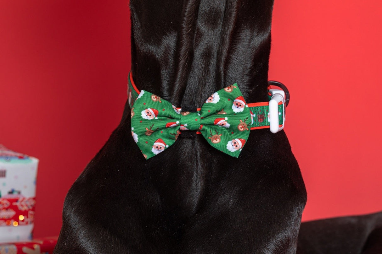 Big and Little Dogs Collar & Bow-tie Deck The Paws - Premium Hondenstrik > strik from Big and Little Dogs - Just €16.99! Shop now at Frenkiezdogshop