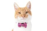 Little Kitty Cat Collar & Bow Tie Flutterly Fab - Premium halsband > kattenhalsband from Little Kitty - Just €9.99! Shop now at Frenkiezdogshop