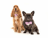 Big and Little Dogs Halsband For Flocks Sake ( L ) - Premium halsband > hondenhalsband from Big and Little Dogs - Just €18.99! Shop now at Frenkiezdogshop