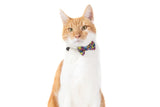 Little Kitty Cat Collar & Bow Tie Graffiti - Premium halsband > kattenhalsband from Little Kitty - Just €9.99! Shop now at Frenkiezdogshop