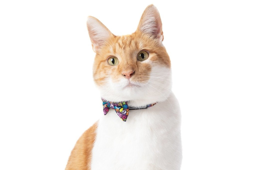 Little Kitty Cat Collar & Bow Tie Graffiti - Premium halsband > kattenhalsband from Little Kitty - Just €9.99! Shop now at Frenkiezdogshop