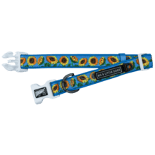Big and Little Dogs Halsband Hello Sunshine halsband > hondenhalsband Small