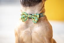 Big and Little Dogs Halsband Hello Sunshine halsband > hondenhalsband Small