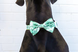 Big and Little Dogs Collar & Bow-tie Lost In Paradise - Premium Hondenstrik > strik from Big and Little Dogs - Just €16.99! Shop now at Frenkiezdogshop