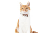 Little Kitty Cat Collar & Bow Tie Luxurious Leopard - Premium halsband > kattenhalsband from Little Kitty - Just €9.99! Shop now at Frenkiezdogshop