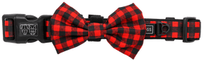 Big and Little Dogs Halsband Plaid to the Bone halsband > hondenhalsband Small
