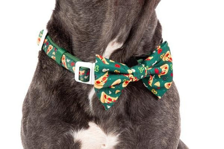Big and Little Dogs Halsband Pupperoni Pizza halsband > hondenhalsband X - Small