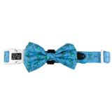 Big and Little Dogs Collar & Bow-tie Skulls & Bones (Blue Version) - Premium Hondenstrik > strik from Big and Little Dogs - Just €16.99! Shop now at Frenkiezdogshop