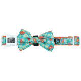 Big and Little Dogs Collar & Bow-tie Slothin' Around - Premium Hondenstrik > strik from Big and Little Dogs - Just €16.99! Shop now at Frenkiezdogshop