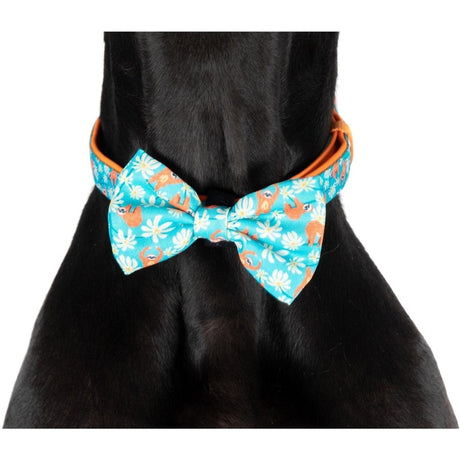 Big and Little Dogs Collar & Bow - tie Slothin' Around halsband > hondenhalsband X - Small