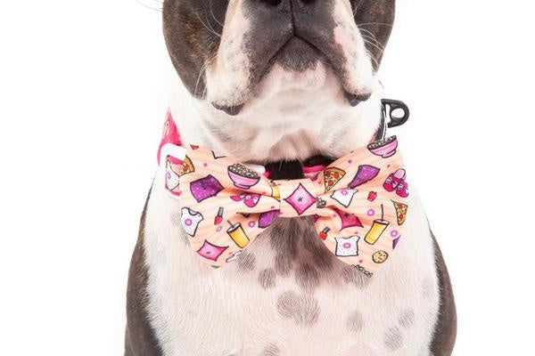 Big and Little Dogs Halsband Slumber Party - Premium halsband > hondenhalsband from Big and Little Dogs - Just €17.99! Shop now at Frenkiezdogshop