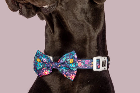 Big and Little Dogs Collar & Bow - tie Stop & Smell The Flowers halsband > hondenhalsband X - Small