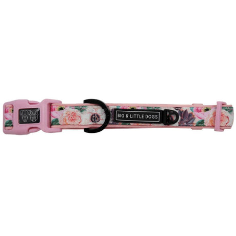 Big and Little Dogs Halsband I'm A Succa For You ( LARGE ) halsband > hondenhalsband Small