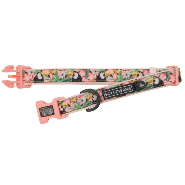 Big and Little Dogs Halsband Troppo Toucan ( SMALL) - Premium halsband > hondenhalsband from Big and Little Dogs - Just €17.99! Shop now at Frenkiezdogshop