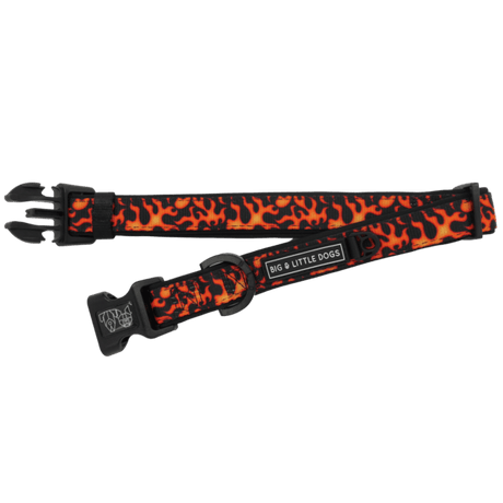 Big and Little Dogs Halsband Too Hot To Handle ( S & L ) halsband > hondenhalsband X - Small