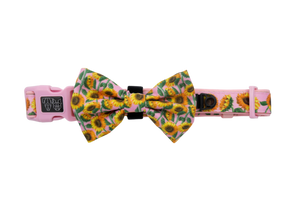 Big and Little Dogs Halsband You Are My Sunshine ( S & M ) halsband > hondenhalsband Small