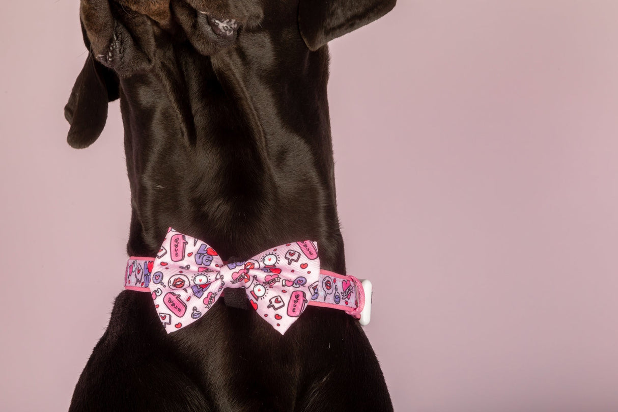 Big and Little Dogs Collar & Bow-tie Don't You Know I Love You? - Premium Hondenstrik > strik from Big and Little Dogs - Just €16.99! Shop now at Frenkiezdogshop