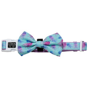Big and Little Dogs Collar & Bow - tie Don't Be Jelly halsband > hondenhalsband X - Small