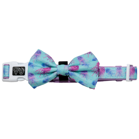 Big and Little Dogs Collar & Bow-tie Don't Be Jelly - Premium Hondenstrik > strik from Big and Little Dogs - Just €16.99! Shop now at Frenkiezdogshop