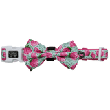 Big and Little Dogs Collar & Bow - tie My Pretty Peony halsband > hondenhalsband X - Small
