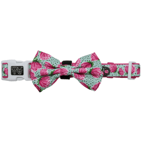 Big and Little Dogs Collar & Bow - tie My Pretty Peony halsband > hondenhalsband X - Small