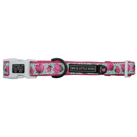 Big and Little Dogs Collar & Bow - tie My Pretty Peony halsband > hondenhalsband X - Small