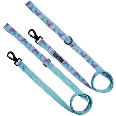 Big and Little Dogs Lijn Don't Be Jelly hondenriem > hondenlijn 1,5 cm breed