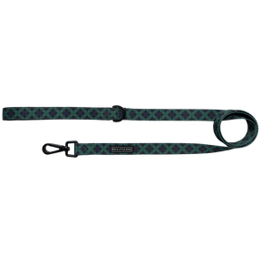 Big and Little Dogs Lijn Green with Envy ( 1,5 cm ) hondenriem > hondenlijn 1,5 cm breed