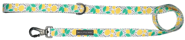 Big and Little Dogs Lijn Main Squeeze - Premium hondenriem > hondenlijn from Big and Little Dogs - Just €19.99! Shop now at Frenkiezdogshop