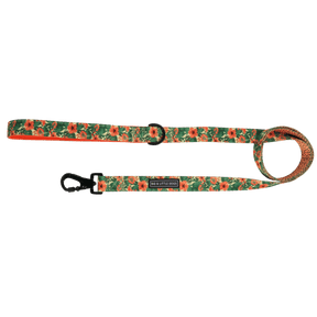 Big and Little Dogs Lijn Paw - Paw - Pawesome hondenriem > hondenlijn 1,5 cm breed