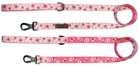 Big and Little Dogs Lijn Pretty as can Bee hondenriem > hondenlijn 1,5 cm breed