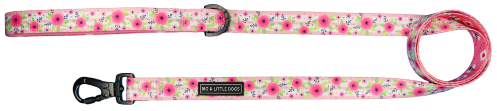 Big and Little Dogs Lijn Pretty as can Bee - Premium hondenriem > hondenlijn from Big and Little Dogs - Just €19.99! Shop now at Frenkiezdogshop