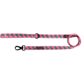Big and Little Dogs Lijn Princess-asaurus - Premium hondenriem > hondenlijn from Big and Little Dogs - Just €10! Shop now at Frenkiezdogshop
