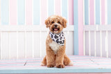 Big  and Little dogs Bandana Grey Leopard - Premium Bandana > Hondenbandana from Big and Little Dogs - Just €9.99! Shop now at Frenkiezdogshop