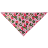 Big  and Little dogs Bandana Abso-Dragon-Fruity - Premium Bandana > Hondenbandana from Big and Little Dogs - Just €9.99! Shop now at Frenkiezdogshop